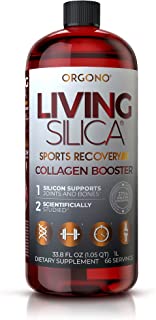 Orgono Living Silica Sport Recovery Supplement 33.8floz