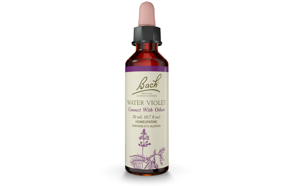 Bach Water Violet