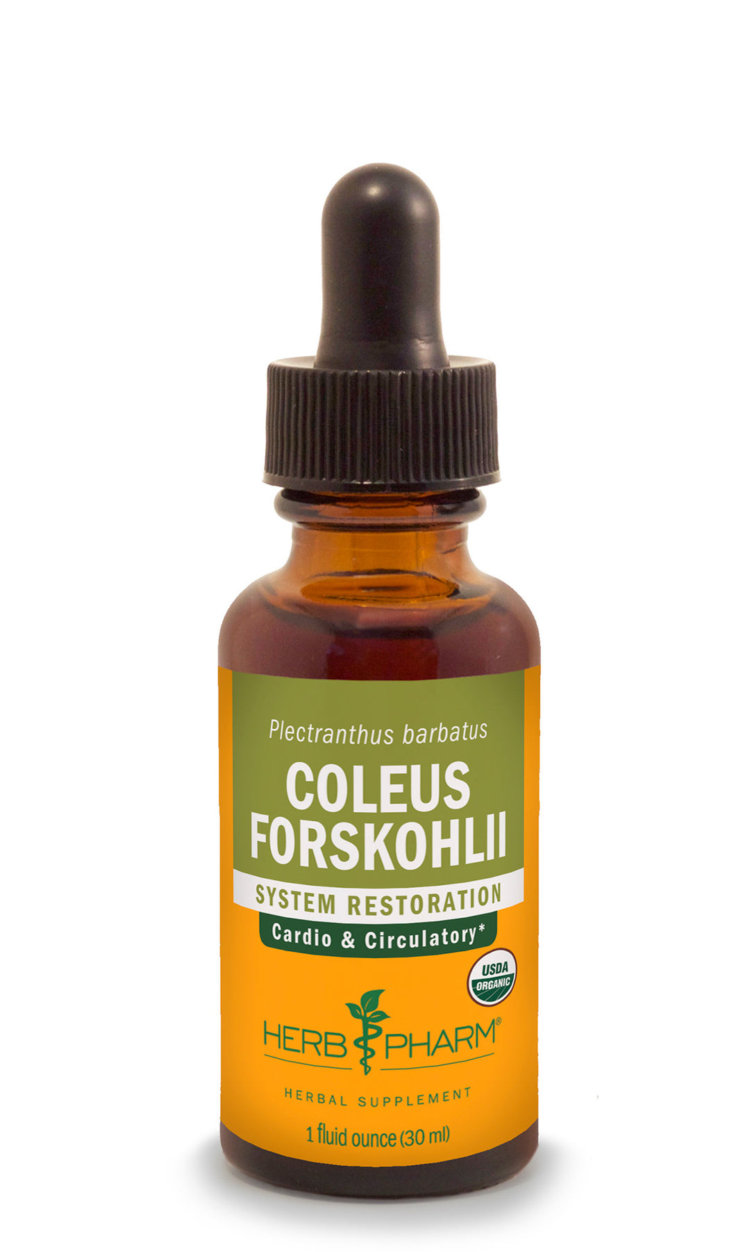 Herb Pharm Coleus Forskohli 1 oz  30 ml