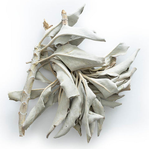 Bulk Herbs White Whole Sage OG 1 oz