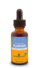 Load image into Gallery viewer, Herb Pharm Plantain 1oz
