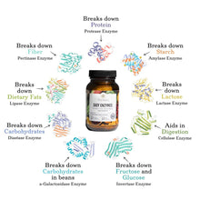 Load image into Gallery viewer, Truvani Digestive Enzymes with 9 Plant Based Enzyme 30caps
